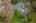 Blurred preview of media: Aerial 05