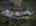 Blurred preview of media: Image Feb 18, 2026 at 12_42_48 PM