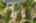 Blurred preview of media: Bonney Lake 6812 Aerial-9