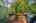Blurred preview of media: 1-22