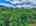 Blurred preview of media: DJI_20260616115232_0845_D_6_D_7_D_easyHDR