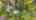 Blurred preview of media: DJI_0284