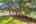 Blurred preview of media: 4