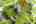 Blurred preview of media: 10_Ipixx_4