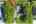 Blurred preview of media: 10_Ipixx_10