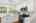 Blurred preview of media: 2bobwhite_039
