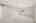 Blurred preview of media: 2bobwhite_086