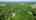 Blurred preview of media: DJI_0189