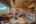 Blurred preview of media: 285 Silver Queen Drive, Breckenridge, CO 80424-Web-7
