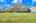 Blurred preview of media: 4-926-0731