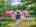 Blurred preview of media: DJI_20260616115118_0836_D_7_D_8_D_easyHDR