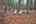 Blurred preview of media: IMG_0695_6_7_easyHDR