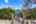 Blurred preview of media: DSC_5852