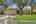 Blurred preview of media: 7808 Forest Path-102