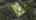 Blurred preview of media: DJI_0518 copy
