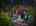 Blurred preview of media: 2115-lakeside-drive-west-highland-lakes-nj-usa-drone-005