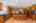 Blurred preview of media: 1-26