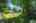 Blurred preview of media: 39