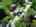 Blurred preview of media: 761 Bruce Rd 13 air 1