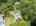 Blurred preview of media: 94 Central Street Andover Massachusetts Job 40242 0073