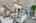 Blurred preview of media: DSC02201