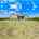 Blurred preview of media: 2-926-7823