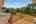 Blurred preview of media: DSC01820