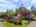 Blurred preview of media: 1-1