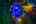 Blurred preview of media: 4Sept0027