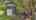Blurred preview of media: IMG_12x92