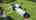 Blurred preview of media: DJI_0918