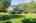 Blurred preview of media: _RKJ4283