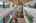 Blurred preview of media: 723CountyRd242-15