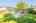 Blurred preview of media: 7 Wallis Ave, Smithville _ Nathan Ferro69