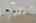 Blurred preview of media: 15
