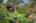 Blurred preview of media: 36
