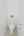 Blurred preview of media: 1600 DYLAN ST web-17