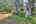 Blurred preview of media: IMG_3324_5_6_easyHDR