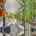 Blurred preview of media: 1-926-7995