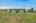 Blurred preview of media: 2181 Woodpecker Ln 00037
