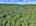 Blurred preview of media: DJI_20260829153733_0512_D_3_D_4_D_easyHDR
