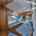 Blurred preview of media: Dorie Lu-51