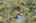Blurred preview of media: 99 Beaver Road Reading Massachusetts Job 39079 0088