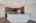 Blurred preview of media: DSC04187