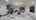 Blurred preview of media: Unknown media