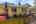 Blurred preview of media: 1-45