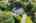 Blurred preview of media: 1 Bryant Avenue Shrewsbury Massachusetts Job 39631 0091