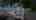 Blurred preview of media: BRANDED TN