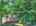 Blurred preview of media: DJI_20260613115359_0785_D_6_D_7_D_easyHDR