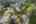 Blurred preview of media: 1-53